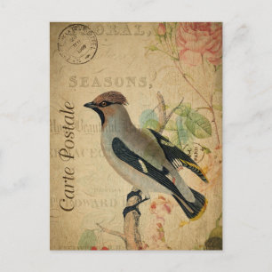 Oiseau Vintage moderne collage floral Carte postal