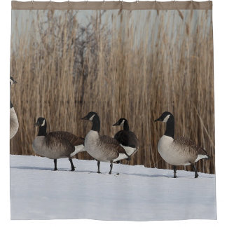Oiseaux aquatiques d'oies sur le rideau en douche