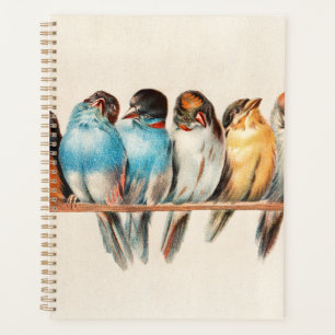 Oiseaux Bleus & Jaunes Assis Joliment