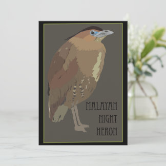 Oiseaux - Carte du Héron Nuit Malais