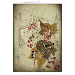 Oiseaux chanteurs et baies