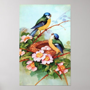 Oiseaux colorés dans une affiche printanière
