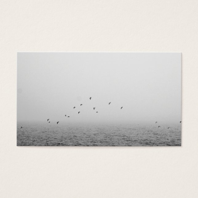 Oiseaux dans le brouillard (Devant)