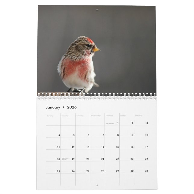 Oiseaux dans le calendrier de l'hiver 2015 (Jan 2026)