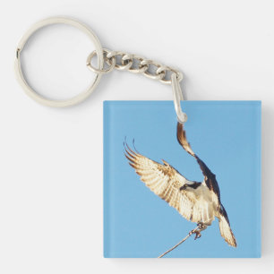 Oiseaux de Balbuzard volant Porte - clé acrylique