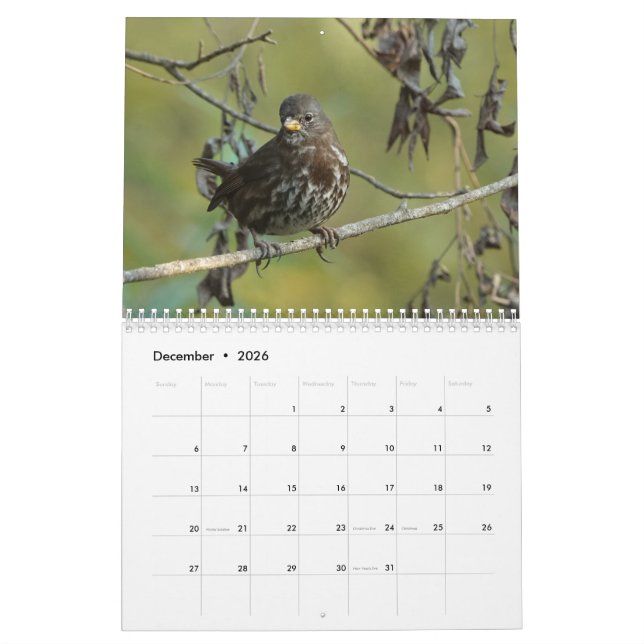 Oiseaux de calendrier de l'Amérique du Nord 2019 (Dec 2026)