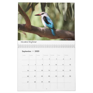 Oiseaux de calendrier de l'Ethiopie