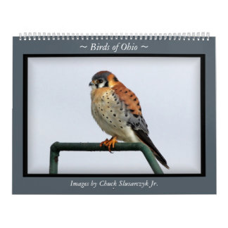 Oiseaux de calendrier mural de l'Ohio