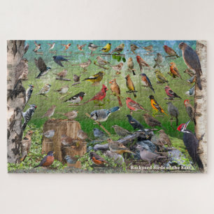 Oiseaux de jardin de puzzle oriental de l'Amériqu