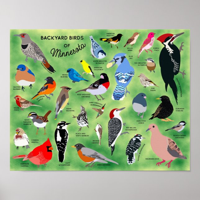 Oiseaux de jardin du Minnesota Affiche (Devant)