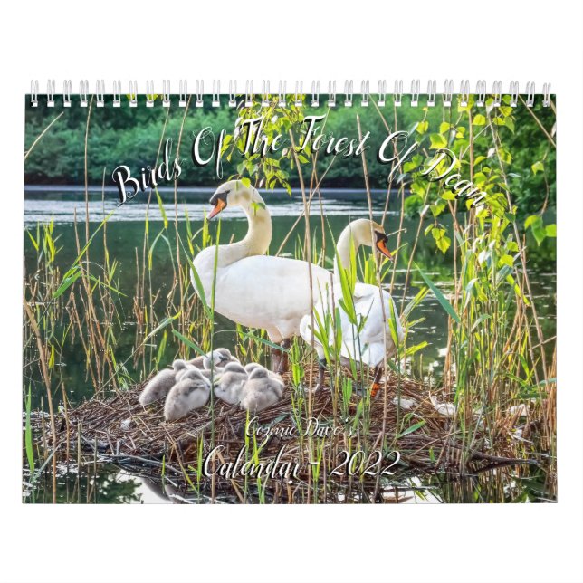 Oiseaux de la forêt de Dean 2022 Calendrier (Protection)