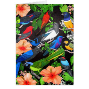 Oiseaux de la péninsule du Yucatan