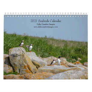 Oiseaux de mer à Machias Seal Island Calendrier 20