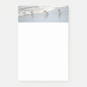 Oiseaux de plage dans les notes Post-it de surf