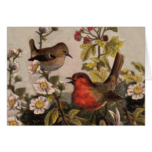 Oiseaux de printemps Robin Oiseaux rouges