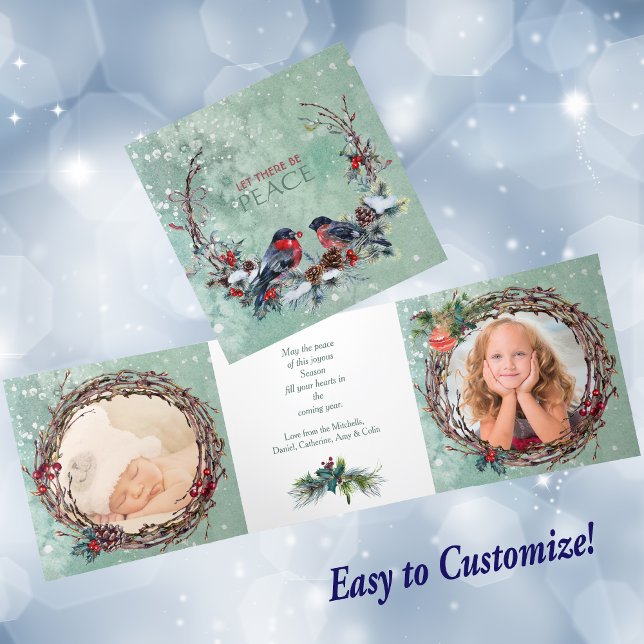 Oiseaux d'hiver Pine Wreath Modèle photo Noël (Créateur téléchargé)