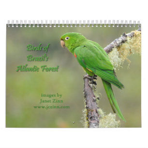 Oiseaux du calendrier atlantique de la forêt du