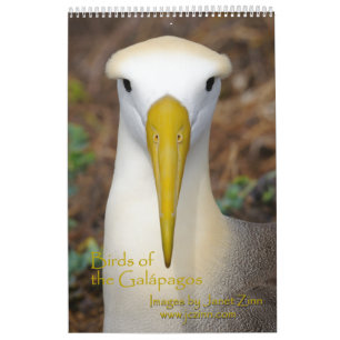 Oiseaux du calendrier de Galapagos