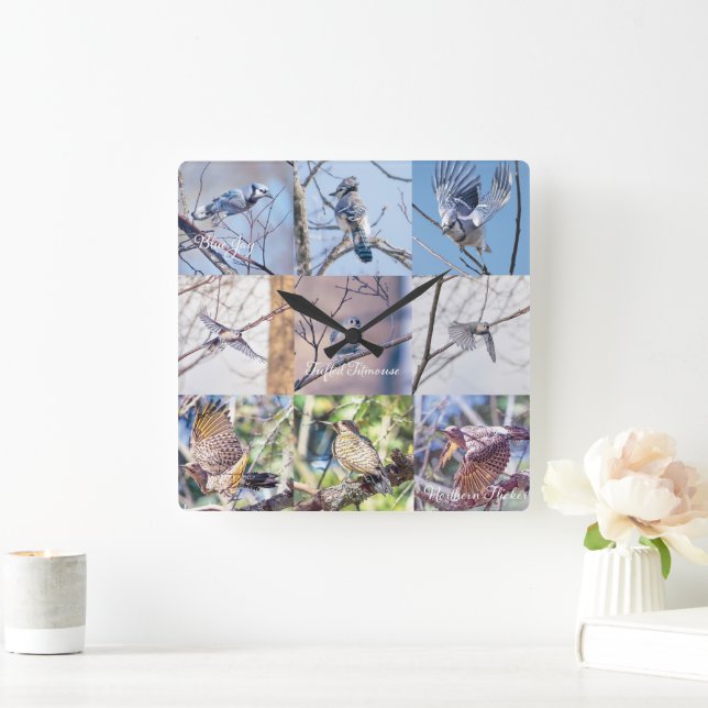 Oiseaux en mouvement horloge (Maison)