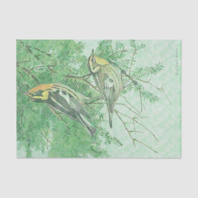 Oiseaux en papier de soie de soie de branches (Recto)