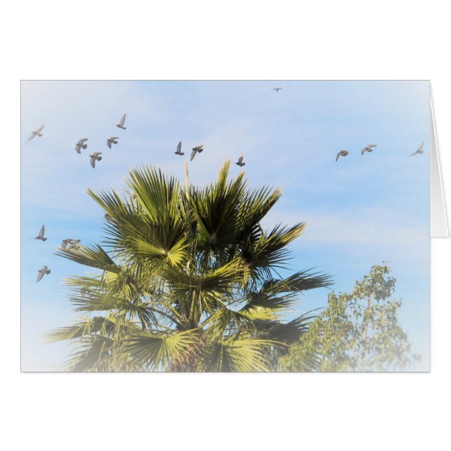 Oiseaux en vol (Devant horizontal)