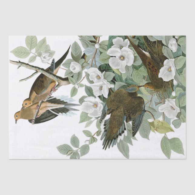 Oiseaux et fleurs 15" naturel x 20" papier de soie (Recto)