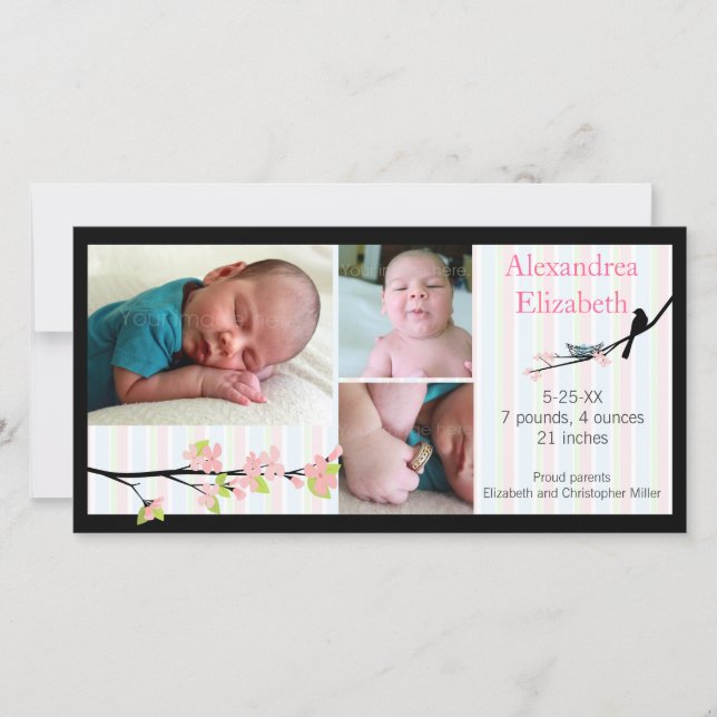 Oiseaux et fleurs en Faire-part de naissance photo (Devant)