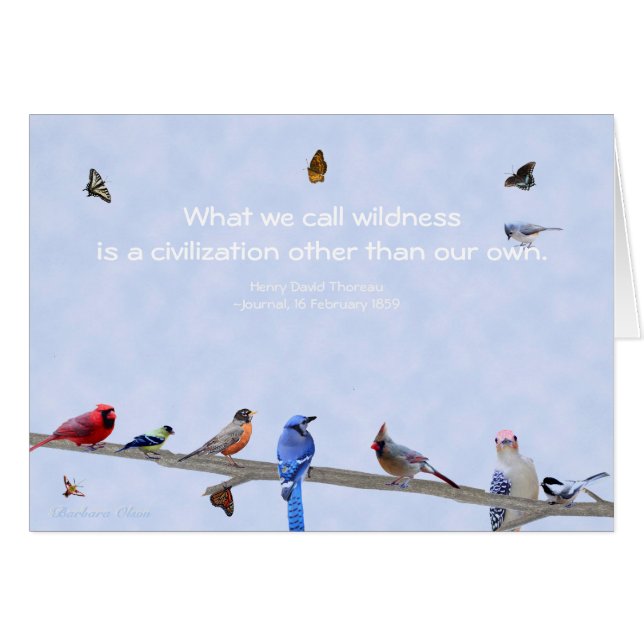 Oiseaux et papillons-Civilisation autre que la nôt (Devant horizontal)