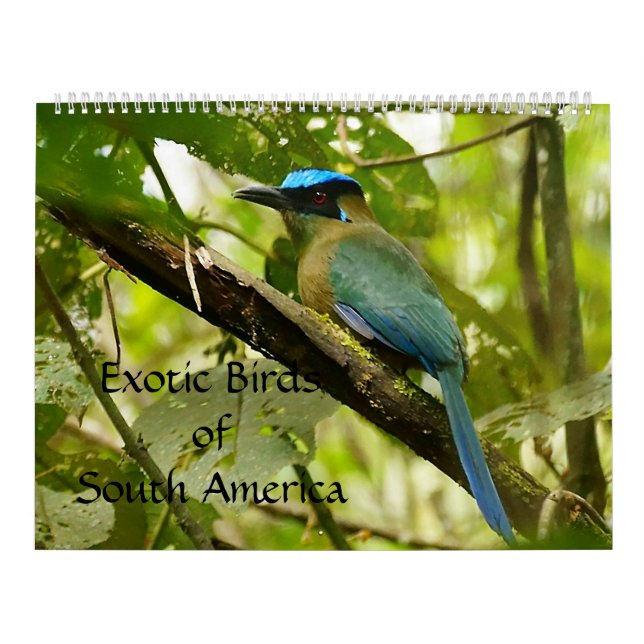 Oiseaux exotiques du calendrier 2014 de l'Amérique (Protection)