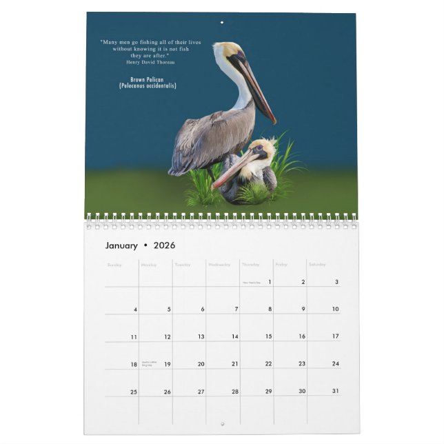 Oiseaux fabuleux calendrier de 12 mois (Jan 2026)