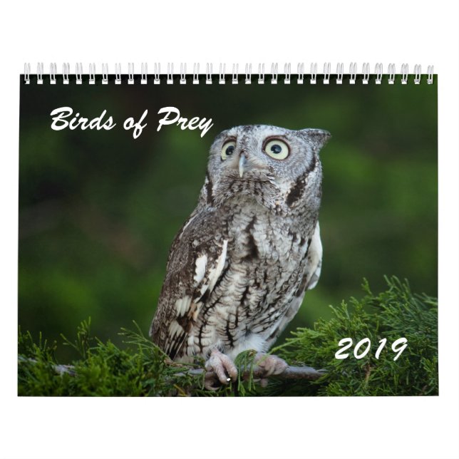 Oiseaux impressionnants du calendrier 2019 de (Protection)