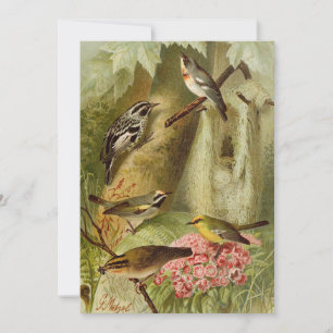 Oiseaux nord-américains Carte tzel Gustav Mü