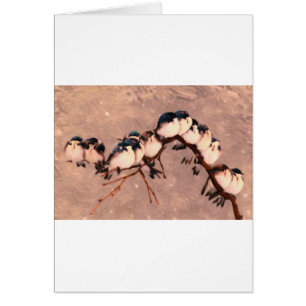 oiseaux pendant l'hiver