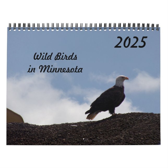 Oiseaux sauvages du Minnesota Calendrier 2025 (Protection)