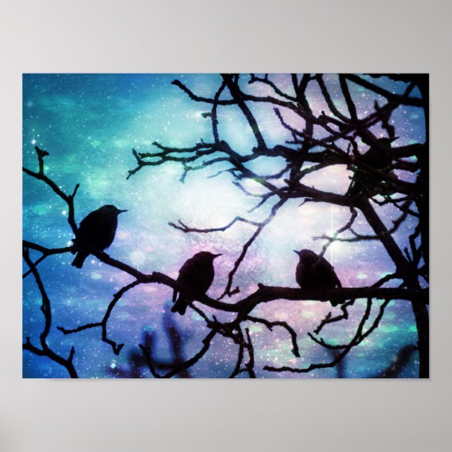 Oiseaux sur une branche - Poster Starlight (Devant)