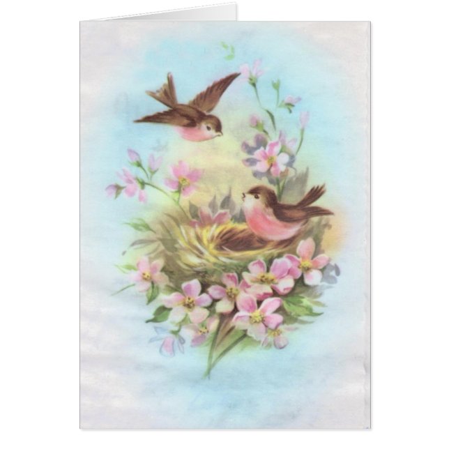 Oiseaux vintages (Devant)