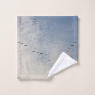 Oiseaux volants