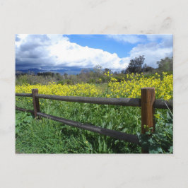 Ojai Meadows Postkarte