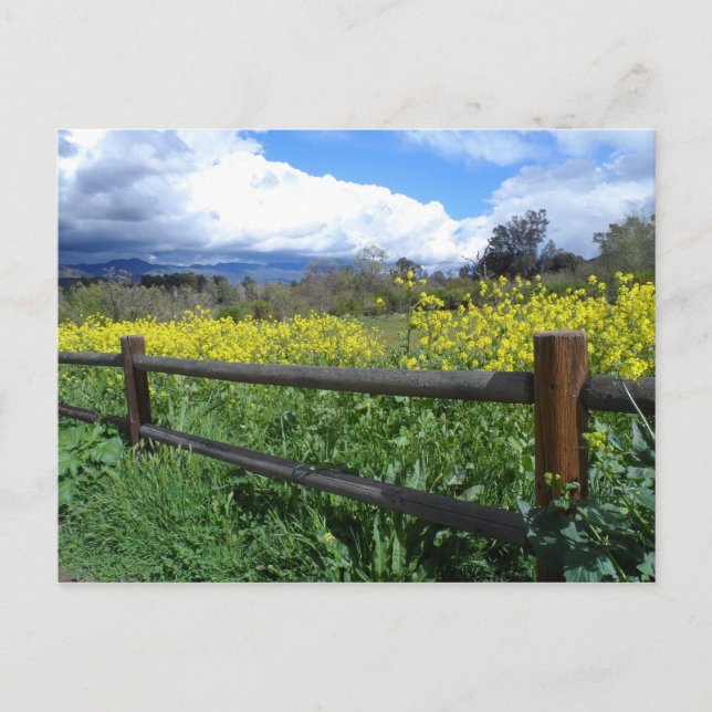 Ojai Meadows Postkarte (Vorderseite)