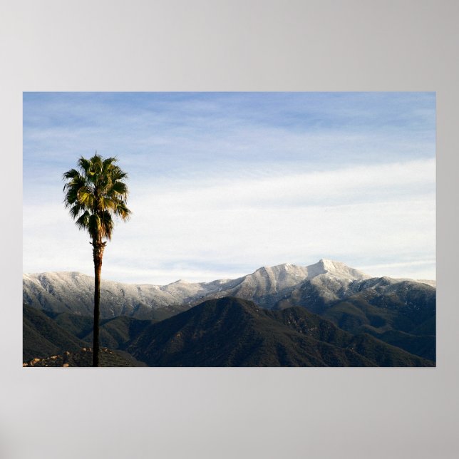 Ojai Palm Poster (Vorne)
