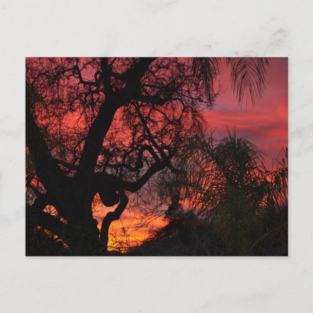 Ojai Sunset Postkarte (Vorderseite)