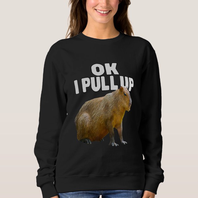 Ok I holt Capybara Funny Capybara Lover Sweatshirt (Vorderseite)