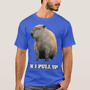 OK I zieht Capybara hoch (2) T-Shirt