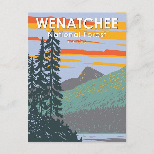Okanogan Wenatchee National Forest Washington Postkarte (Vorderseite)