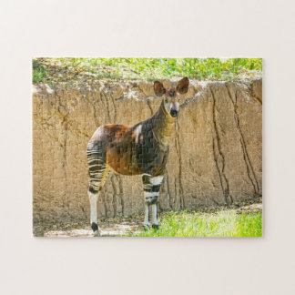 Okapi