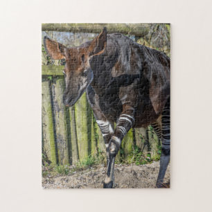 Okapi au puzzle du zoo
