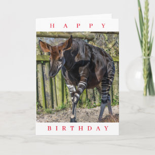 Okapi au zoo carte d'anniversaire
