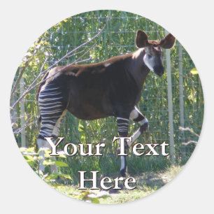 Okapi-Aufkleber Runder Aufkleber