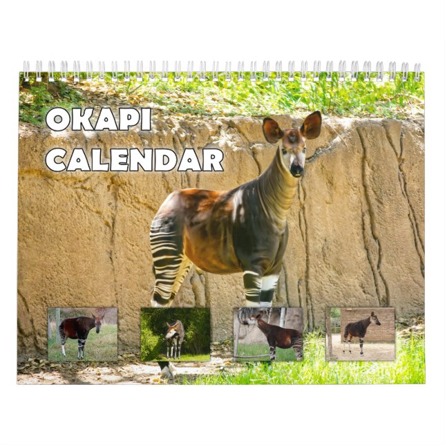 Okapi Kalender (Titelbild)
