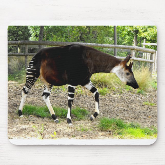 Okapi Mousepad (Vorne)